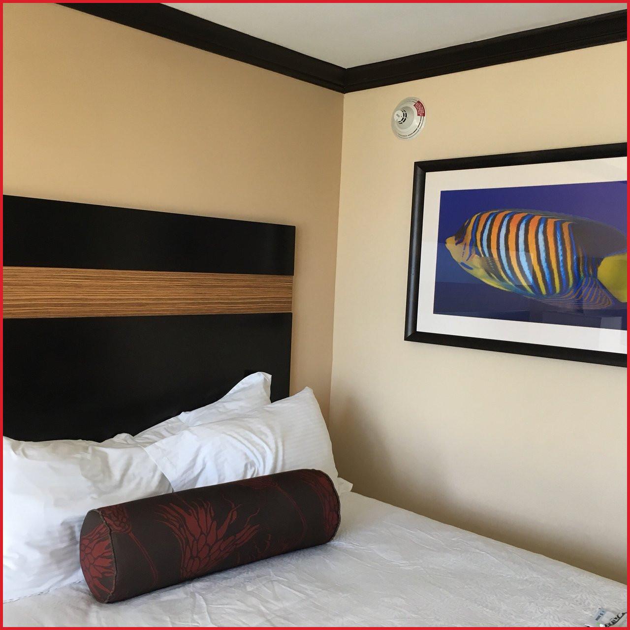 Grand Palms Spa & Golf Resort Pembroke Pines Extérieur photo